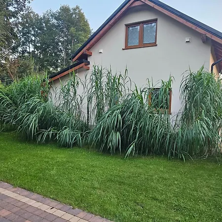 Dom wakacyjny Osada Cztery Pory Roku - Dom Zima *