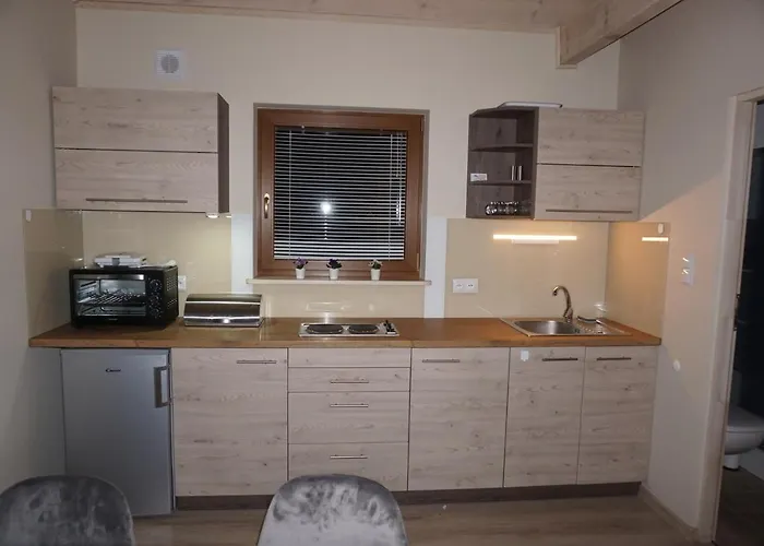 Osada Cztery Pory Roku - Dom Zima Semesterbostad Kopalino